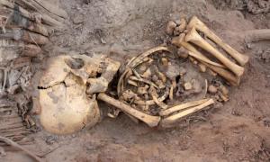 В Перу найдено захоронение инков с 40 мумиями старше 1000 лет - Похоронный портал