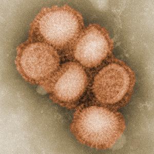 6 опасных мифов о гриппе и простуде - Похоронный портал