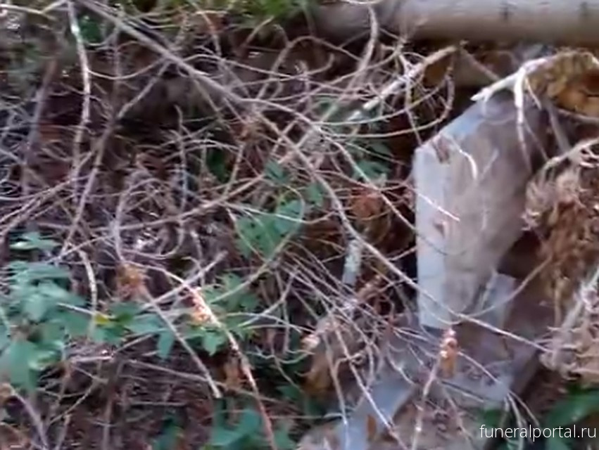 Миасс. На кладбище спиленные деревья повалили на могилы - Похоронный портал