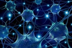 Ученые обнаружили "ген ума и долголетия" 