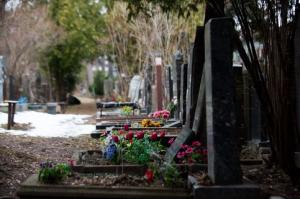 Нелегальных мигрантов запретили привлекать к работе на столичных кладбищах - Похоронный портал