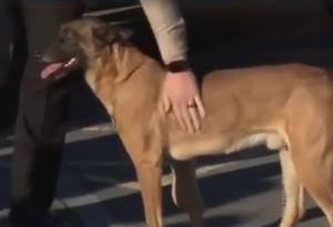 В последний путь с почестями - Похоронный портал