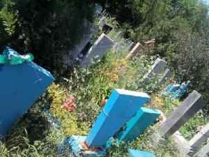 В Батайске зачистили кладбище на Восточном - Похоронный портал