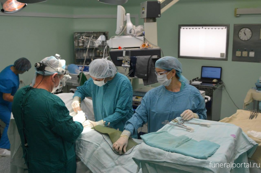 Разберут ли меня на органы после смерти? 11 вопросов о трансплантации