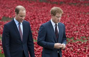 Принцы Уильям и Гарри установят в Лондоне памятник принцессе Диане - Похоронный портал
