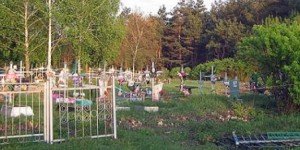 В Подмосковье обнаружено неучтенное кладбище - Похоронный портал