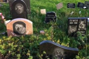 В Сумах обсудят обустройство кладбища для животных - Похоронный портал