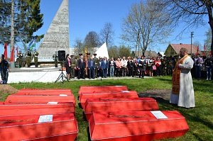 В Батецком районе с воинскими почестями захоронили 39 бойцов, погибших в 1941 году - Похоронный портал