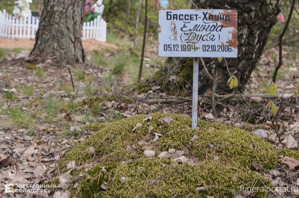 Новости компаний похоронной отрасли