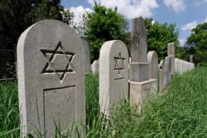 Новое еврейское кладбище может быть открыто в Казани уже в этом году - Похоронный портал