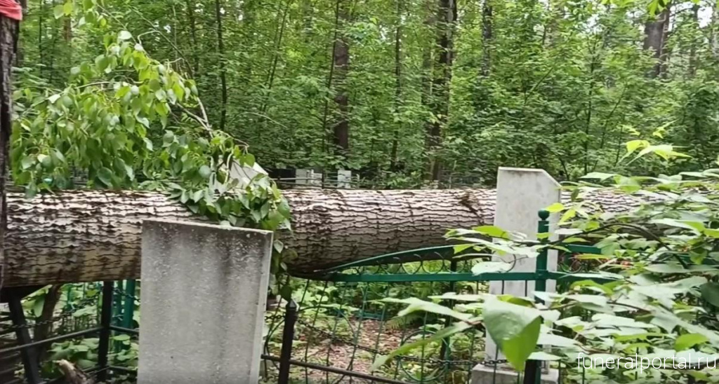 Новости компаний похоронной отрасли