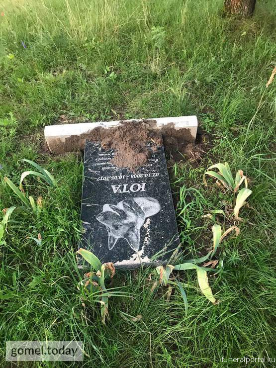 Беларусь. «Кому понадобилось осквернять память?» В Новобелице неизвестные выкорчевали собачий памятник  - Похоронный портал