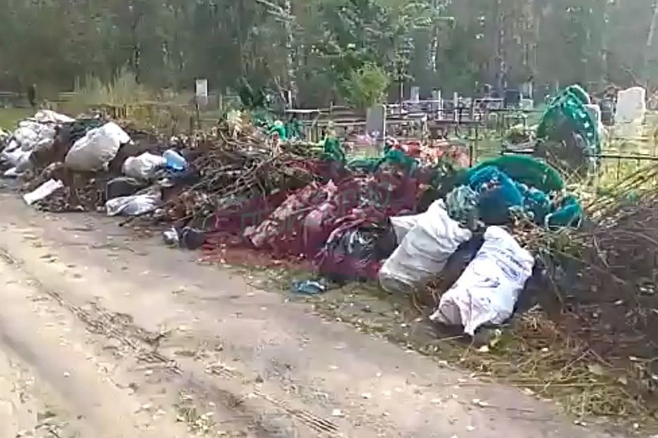 Большая куча: могилы на кладбище под Новосибирском закидали мусором - Похоронный портал