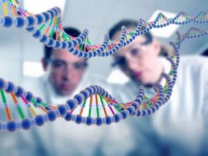 Генетические мутации могут привести к смерти - Похоронный портал
