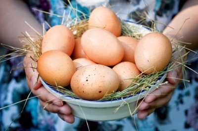 Куриные яйца снижают риск инсульта на 12%