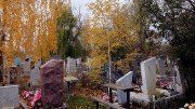 Единого оператора по содержанию кладбищ выбирают в Подмосковье - Похоронный портал