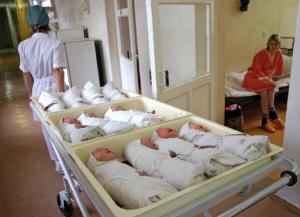 Красноярцы обсуждают новую традицию среди молодых мам хоронить плаценту - Похоронный портал