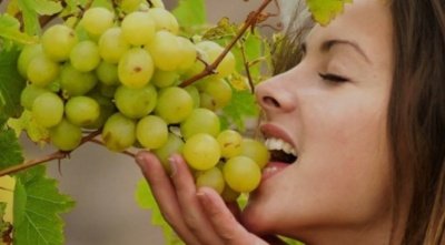 От старческого слабоумия защитят две порции винограда в день