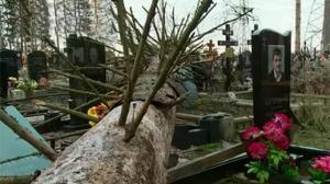 Жители Подмосковья винят администрацию района в разрушении кладбища - Похоронный портал