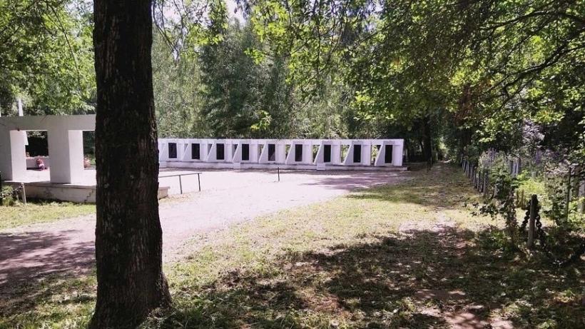 Кировские кладбища заросли борщевиком - Похоронный портал