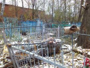 Житель Чистополя пожаловался на свалку спиленных деревьев на кладбище - Похоронный портал