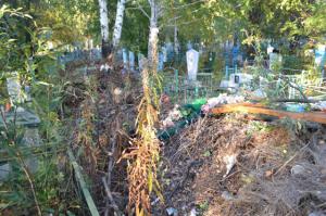 В 2016 году на кладбищах станет чище - Похоронный портал
