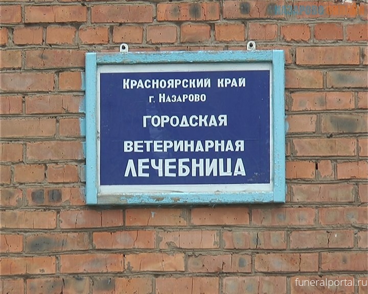 Новости компаний похоронной отрасли