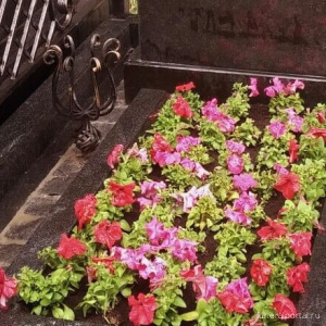 Советы накануне поминальных дней — какие цветы сажать на кладбище  - Похоронный портал