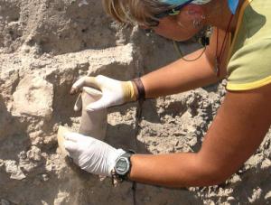 В зарослях Славянки нашли скелет с документами - Похоронный портал