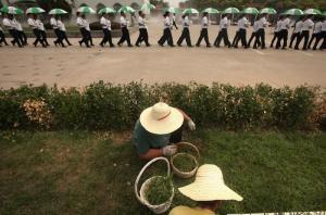 Китай планирует продвигать "экологичное захоронение усопших" - Похоронный портал