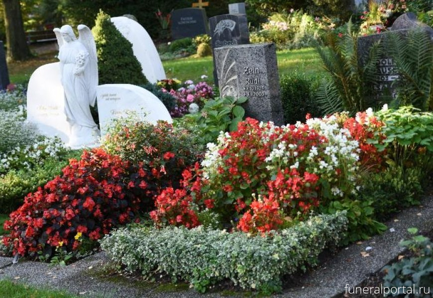 Какие цветы можно сажать на кладбище