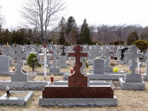 В России появится электронная карта кладбищ - Похоронный портал