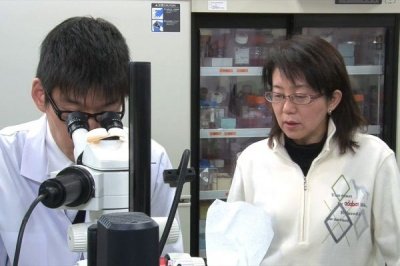 Пересадка сетчатки глаза из стволовых клеток прошла успешно в Японии