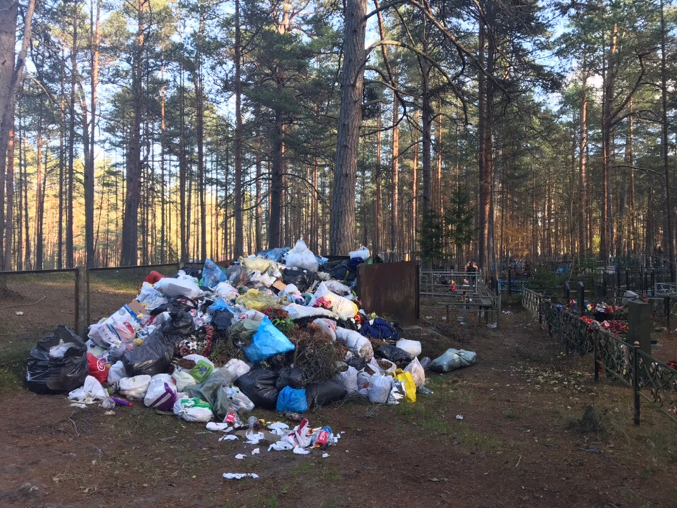 Сосновоборские депутаты обратились в прокуратуру по поводу кладбища в Систо-Палкино - Похоронный портал