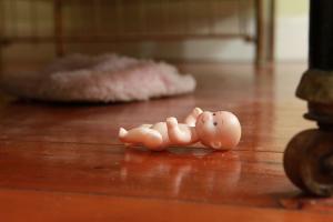 В Чебоксарах шестимесячный ребенок двое суток провел в квартире с умершей матерью - Похоронный портал