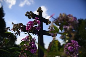 Все кладбища Подмосковья нужно привести в порядок до 15 апреля - Похоронный портал
