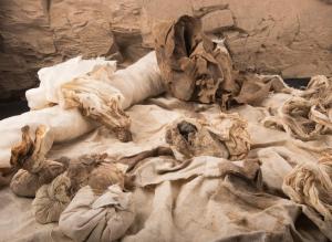 В Луксоре нашли принадлежности для мумифицирования - Похоронный портал