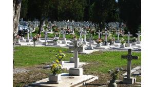 Московские власти завершили работы по расширению Перепечинского кладбища - Похоронный портал
