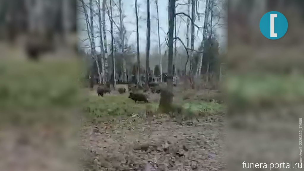 Новости компаний похоронной отрасли