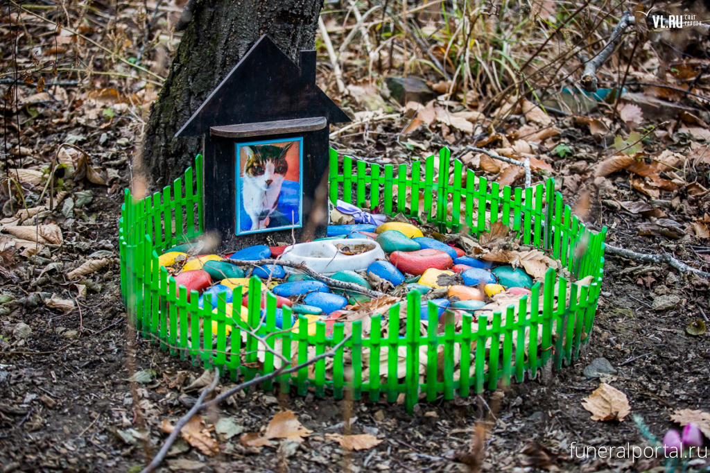 Новости компаний похоронной отрасли