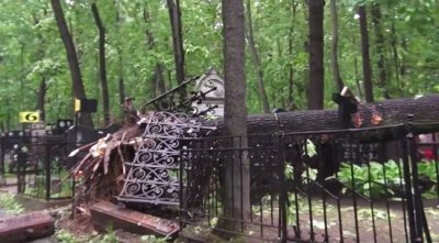 Видео: повалившееся от урагана дерево раздавило надгробные плиты на Введенском кладбище