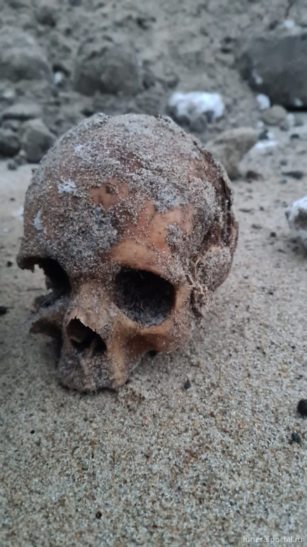 В Териберке на пляже нашли человеческий череп - Похоронный портал