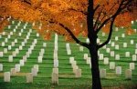 На надгробиях Арлингтонского кладбища обнаружены неточности  - Похоронный портал