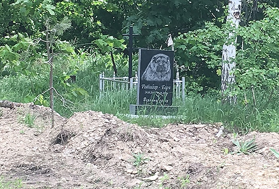 В Вольске умершим собакам ставят памятники, кресты и оградки - Похоронный портал
