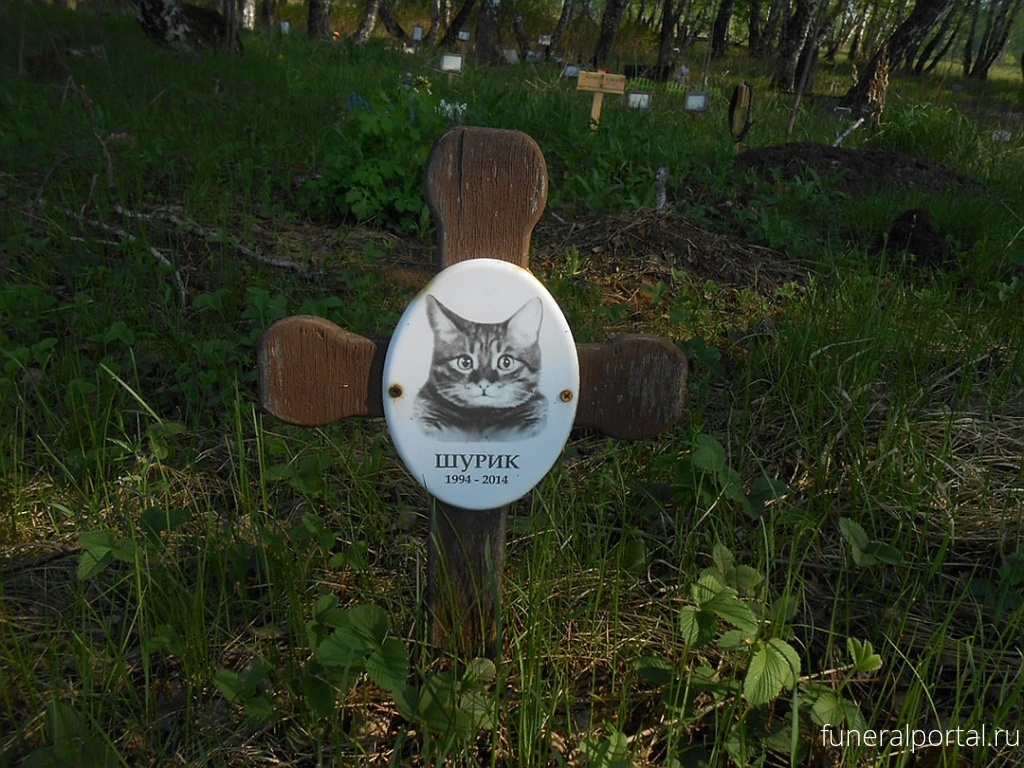 «В любви дошли до крайности»: жители Челябинска хоронят своих кошек и собак под православными крестами