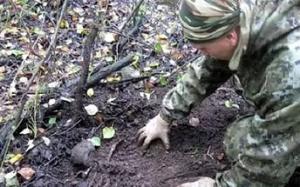 Останки погибших бойцов без именных медальонов найдены в Тверской области (видео) - Похоронный портал