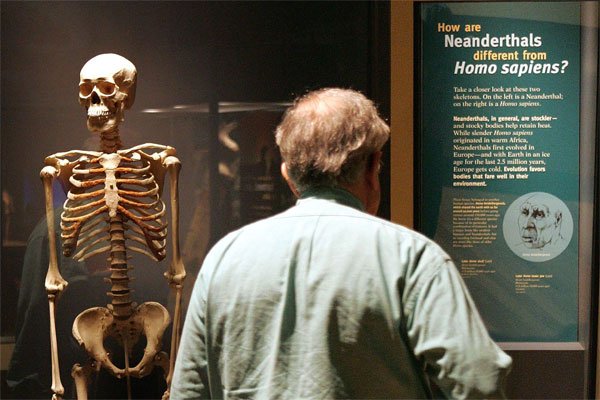 Сибирские ученые выяснили, от чего вымерли неандертальцы - Похоронный портал
