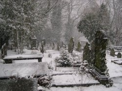 Зима на кладбище