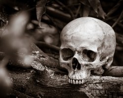 Четыре скелета нашли строители в Казани, останкам около полувека - Похоронный портал