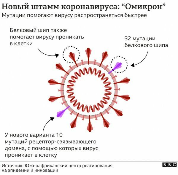 Вирусолог Волчков: "Омикрон" сменил путь проникновения в клетки